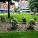 Progetto Palla al Centro