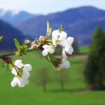 eventi primavera Milano 2025