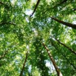 Iniziative ecologiche Milano