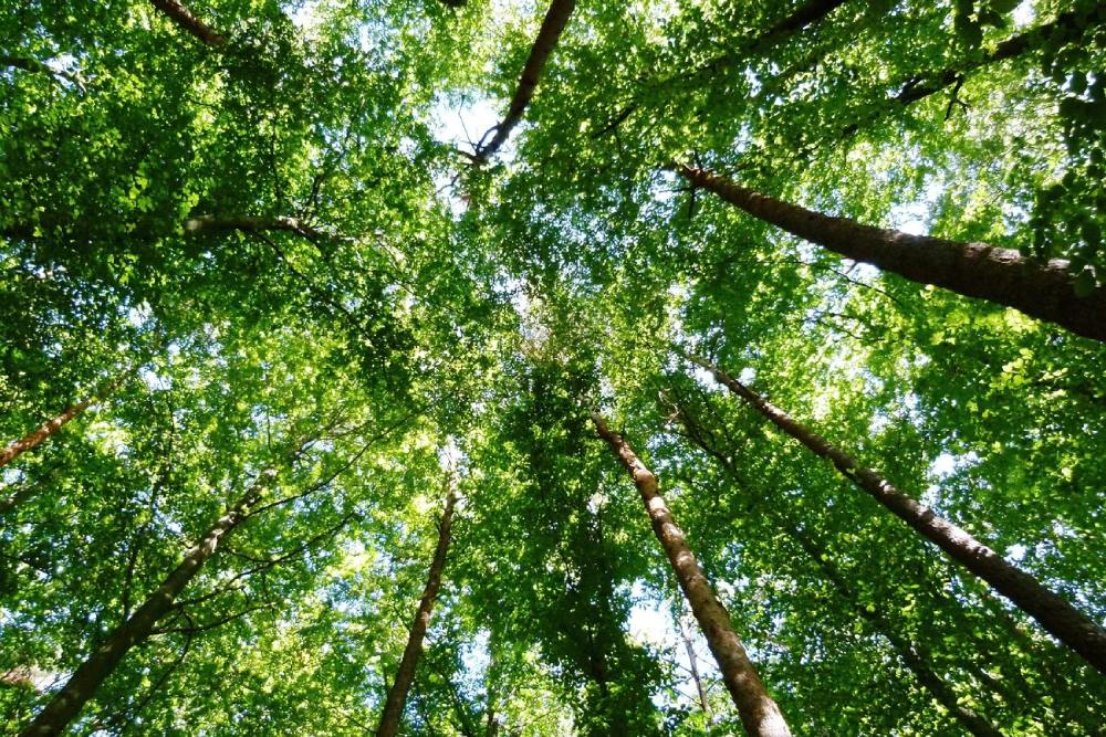 Iniziative ecologiche Milano