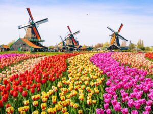 Mete primavera 2026: itinerari e destinazioni da scoprire