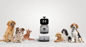 Pet Tech: Quando l’AI impara a “Parlare” il Linguaggio degli Animali