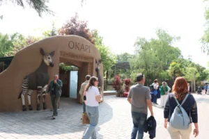 Le Cornelle, inaugurata la nuova area “La foresta degli okapi”