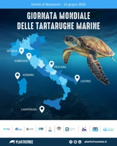 Italian Turtle Day: sei tartarughe marine tornano in libertà lungo le coste italiane