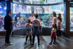 Acquario di Genova, visite guidate serali e cena al tramonto: l’esperienza speciale dell’estate
