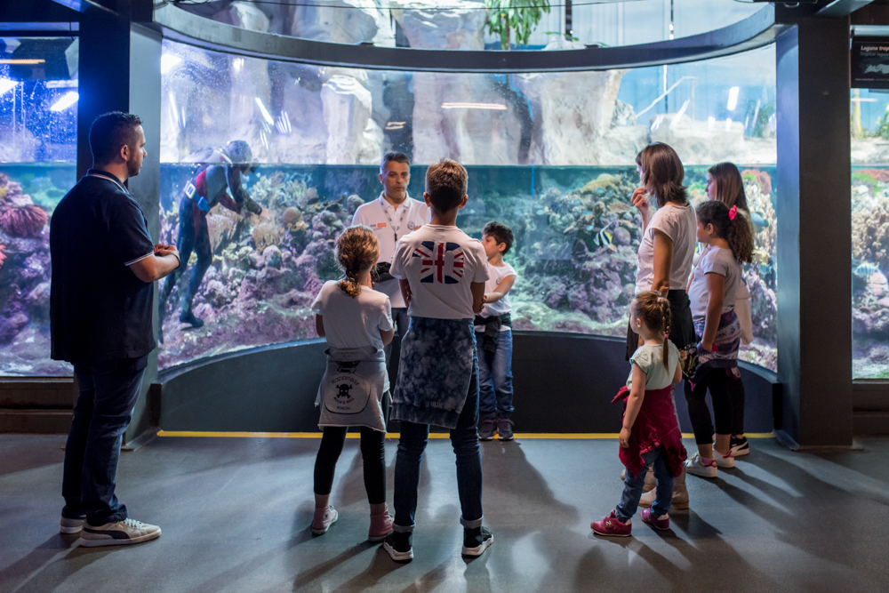 Acquario